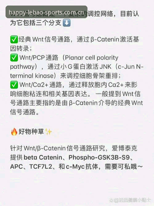乐宝体育平台全面评测：从注册到高阶玩法，一次搞懂全部使用教程